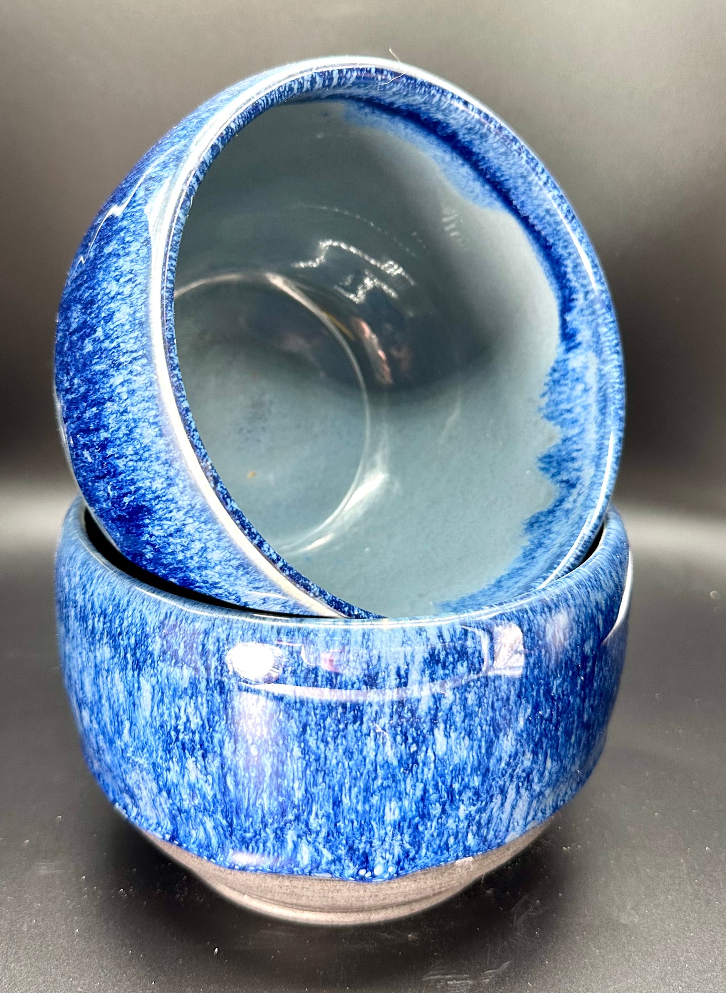 Two Fish Bowl Swim Set