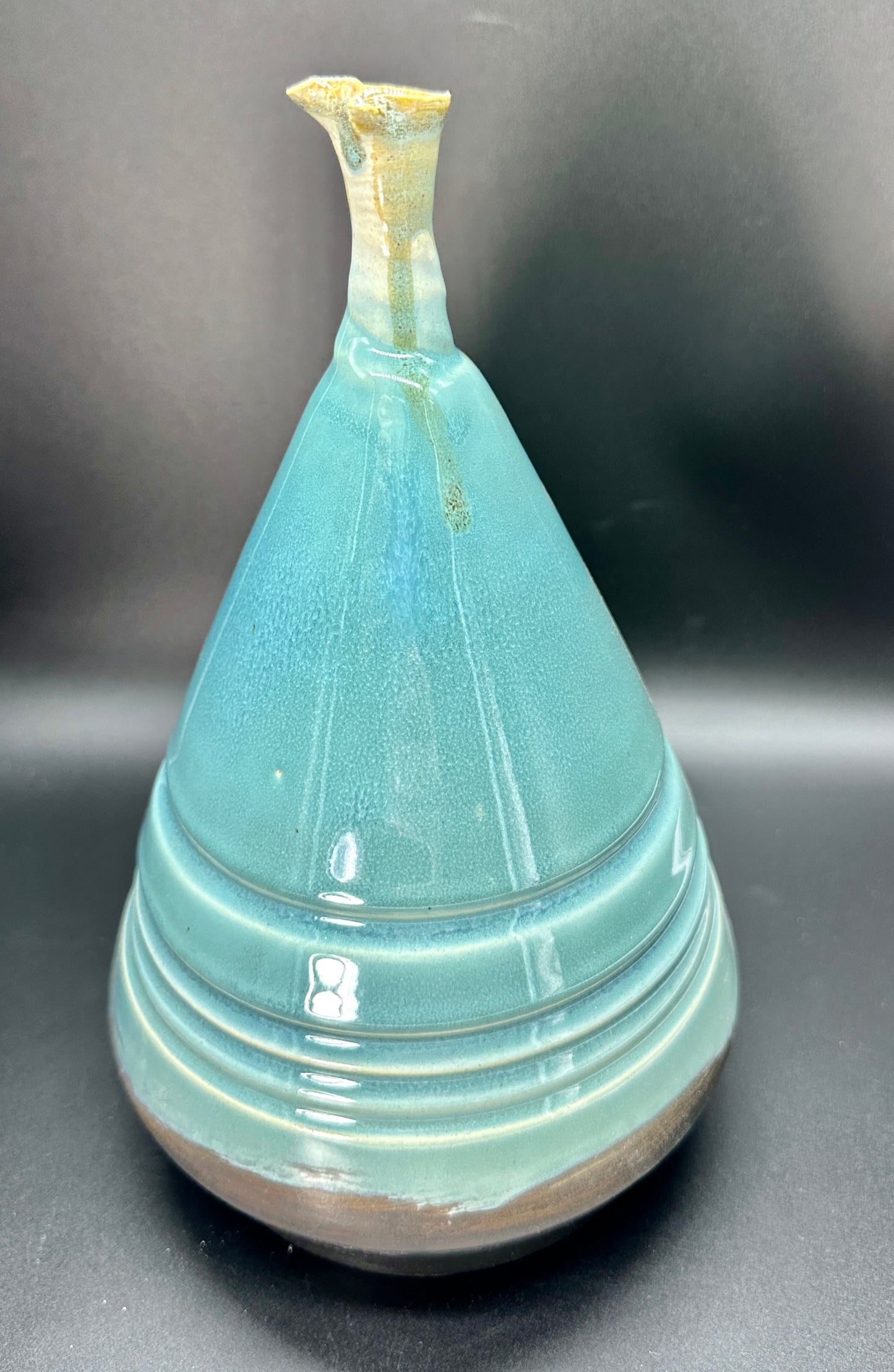 Narrow Neck Swann Vase